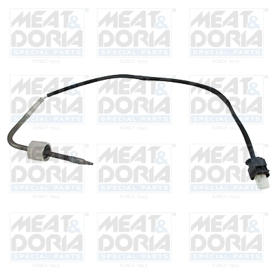 Sensor, exhaust gas temperature
